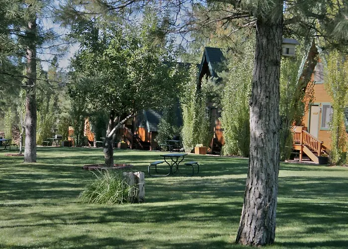 Cabins On Strawberry Hill Pine